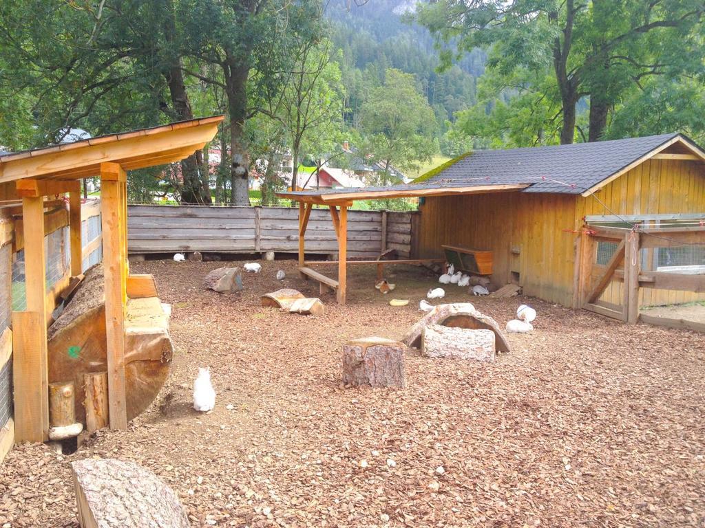 Kinderhotel Appelhof Murzsteg Ngoại thất bức ảnh